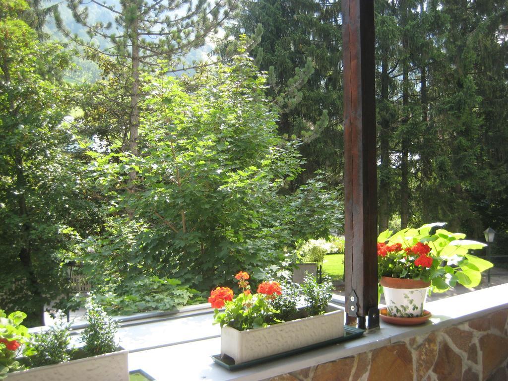 Privat Apartment バート・ホーフガシュタイン 部屋 写真